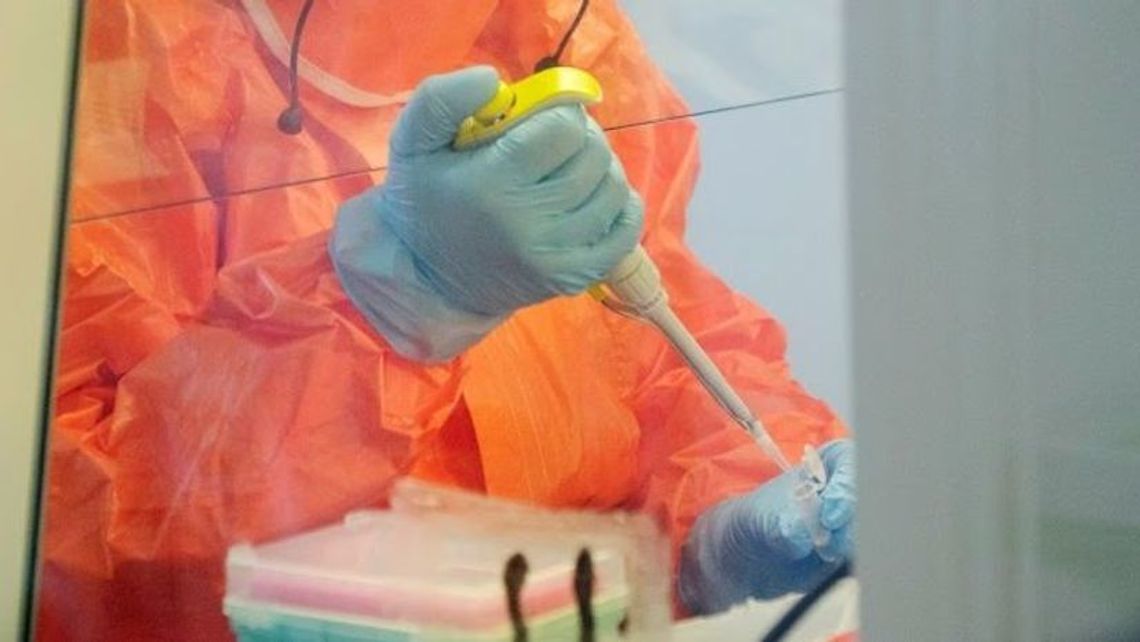 13 nowych przypadków zakażenia koronawirusem w Polsce. 4 nowych chorych z woj. lubelskiego