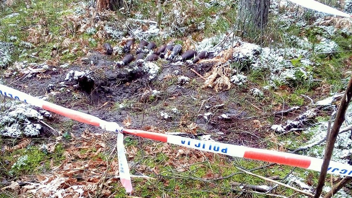 13 zardzewiałych z czasów wojny pocisków leżało spokojnie w lesie w powiecie kraśnickim