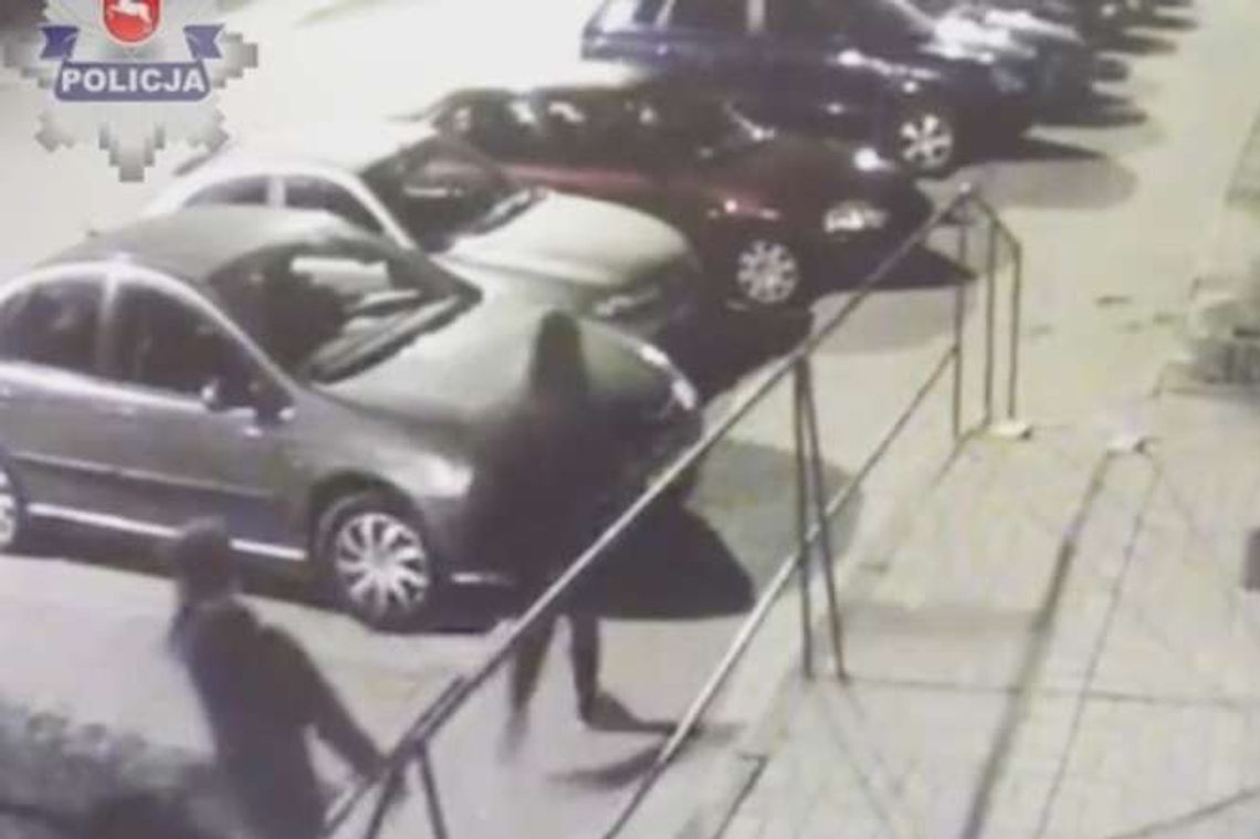 14-latek i jego koleżanki zdemolowali 30 samochodów