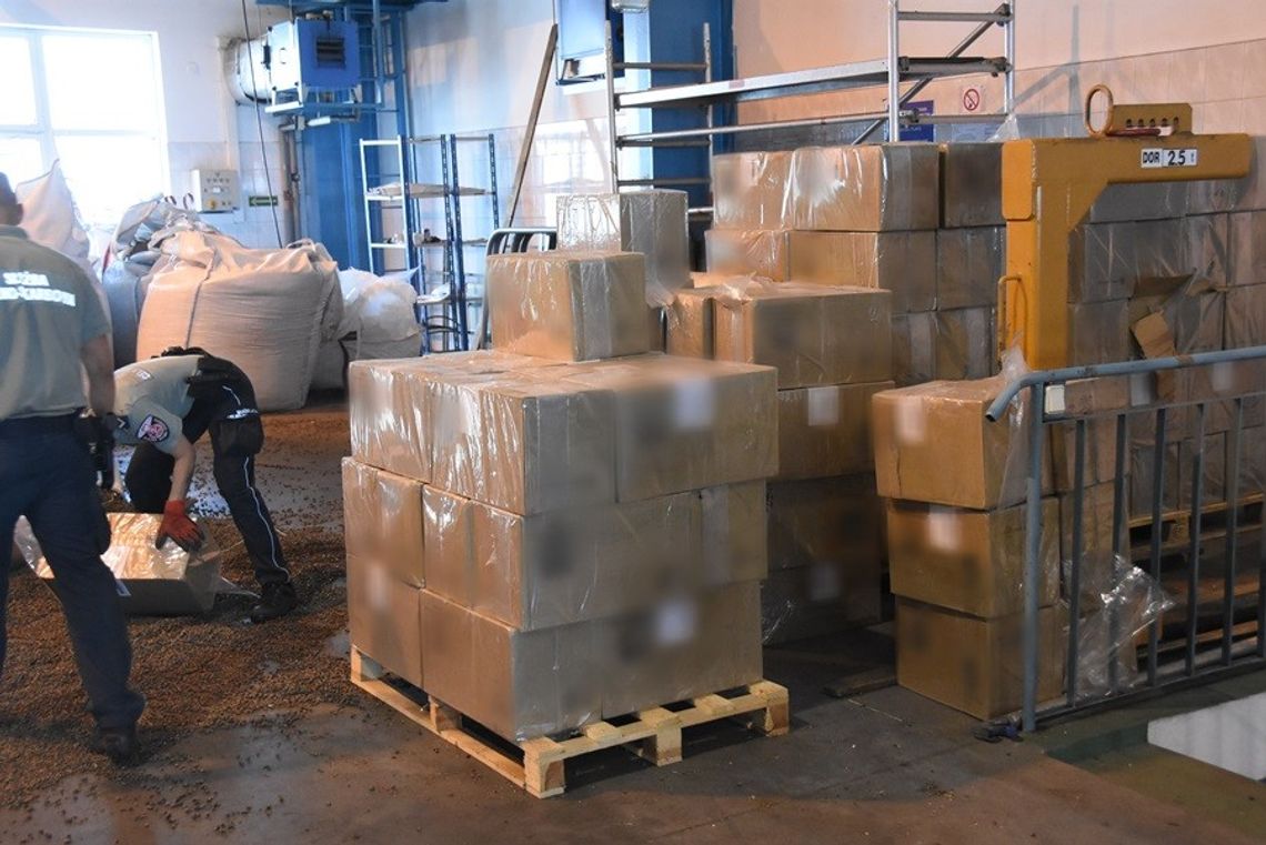 Kontrola ciężarówki w Koroszczynie. W ładunku pelletu ujawniono ponad 220 tys. paczek przemycanych papierosów.