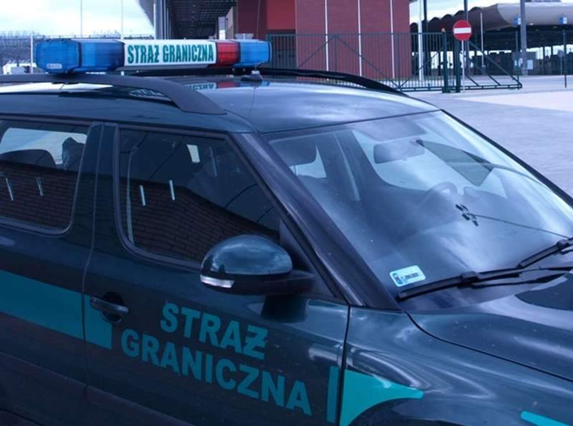 15 lat jeździł z fałszywym prawem jazdy