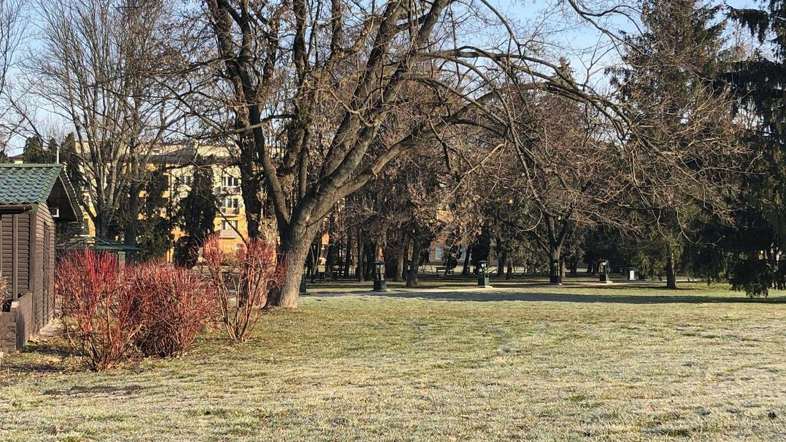 16-latek skopany na śmierć na ulicy w Zamościu. Cztery osoby zatrzymane