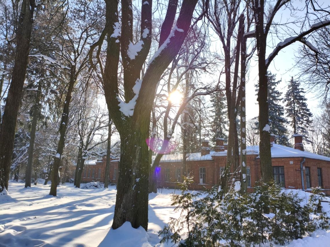 162 miliony w zawieszeniu. Spór o Muzeum Wołyńskie w Chełmie trafia na kolejny front