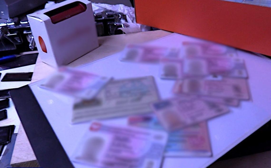 164 zarzuty dla 35-latki z Lubelszczyzny. Na cudze dane brała pożyczki i kupowała telefony