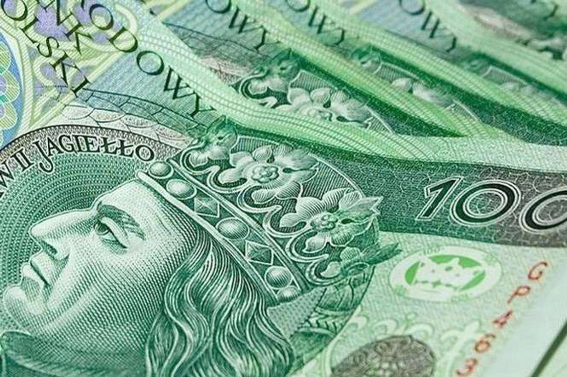 17 kobiet nie dało się nabrać „wnuczkom”