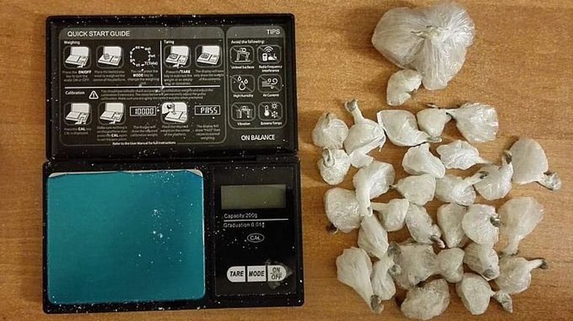 17-latek z Piask na trzy miesiące do aresztu. Znaleźli u niego coś takiego