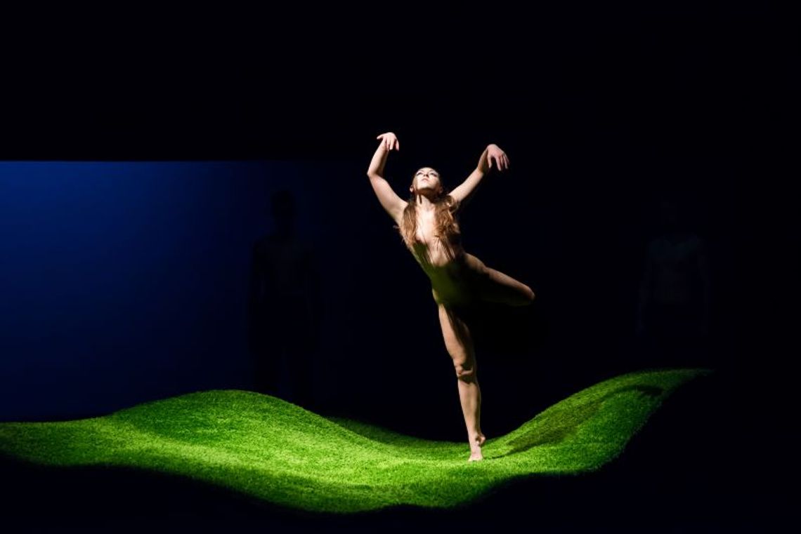 17. Międzynarodowe Spotkania Teatrów Tańca (program)