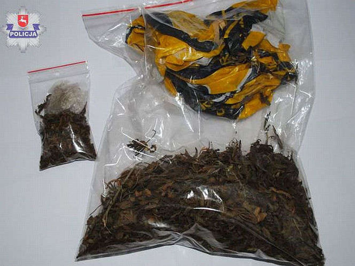 18-latek wpadł z narkotykami. Susz maruhuany trzymał za łóżkiem