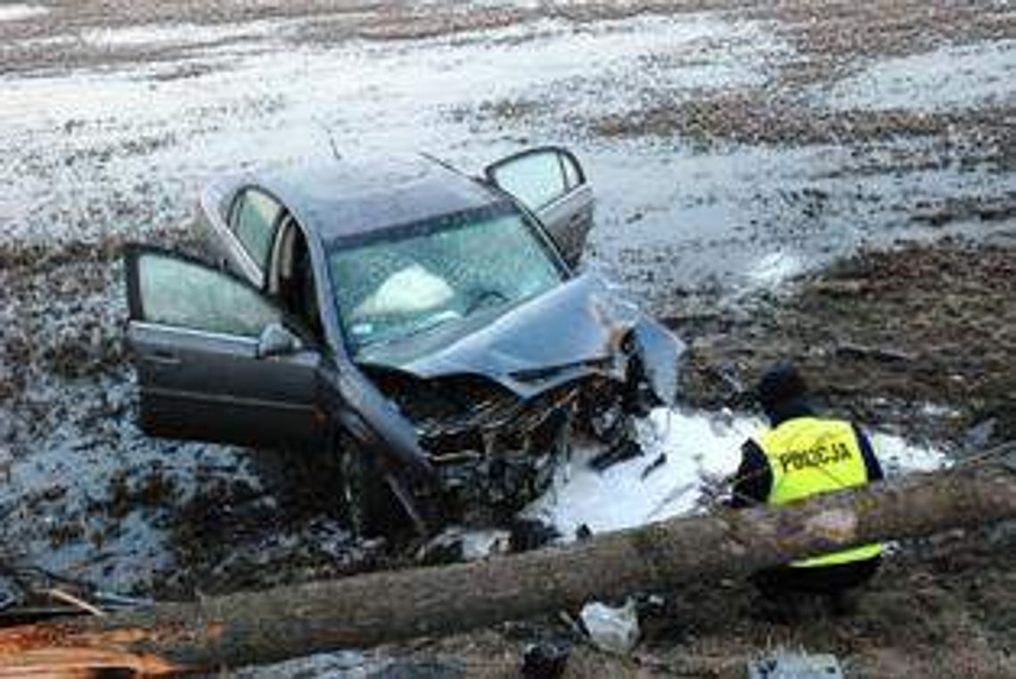 18-latek zasnął za kierownicą i wjechał w drzewo