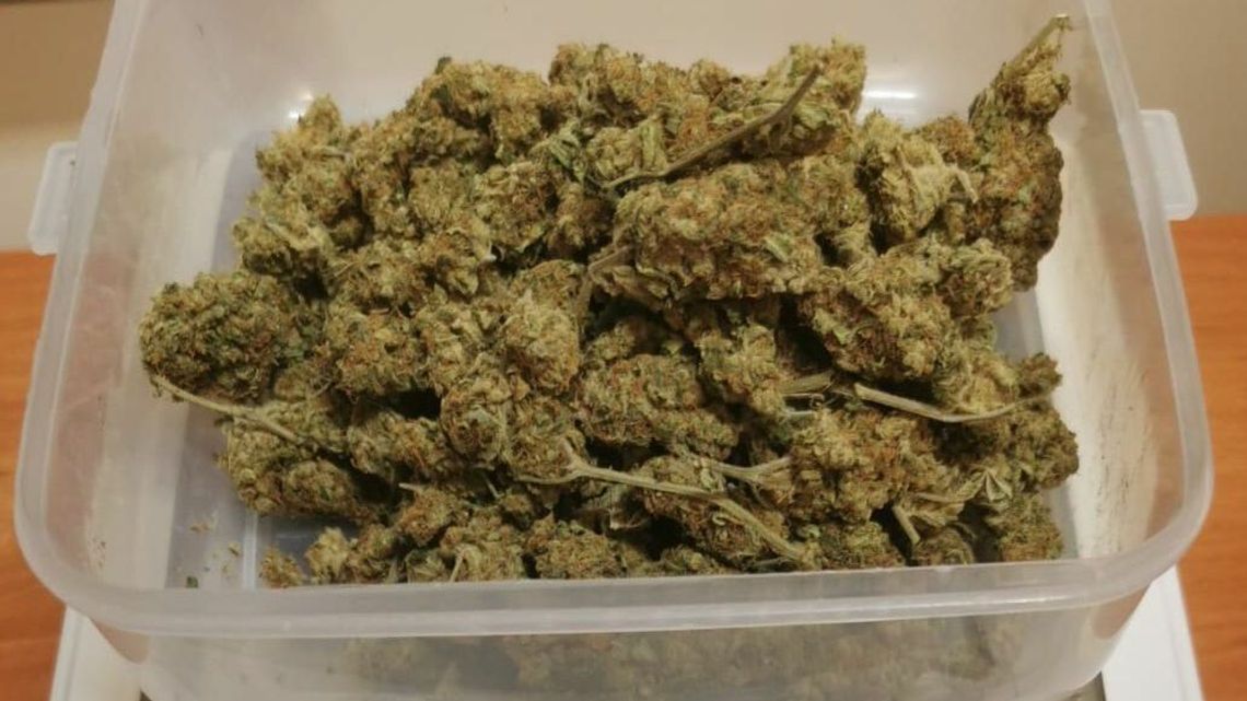 18-latka z marihuaną. "Wystarczyłaby do sporządzenia ok. 200 porcji dealerskich" 18-latka z marihuaną. "Wystarczyłaby do sporządzenia ok. 200 porcji dealerskich"