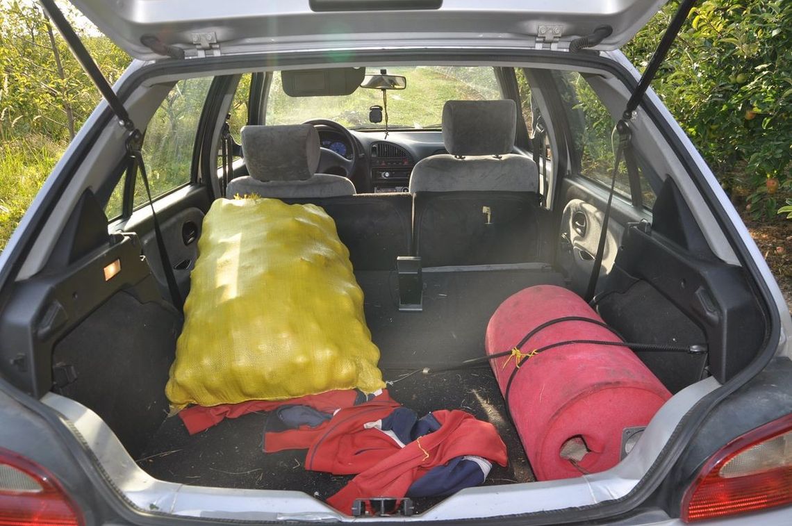 19-latek kradł jabłka z sadu swoich sąsiadów 19-latek kradł jabłka z sadu swoich sąsiadów