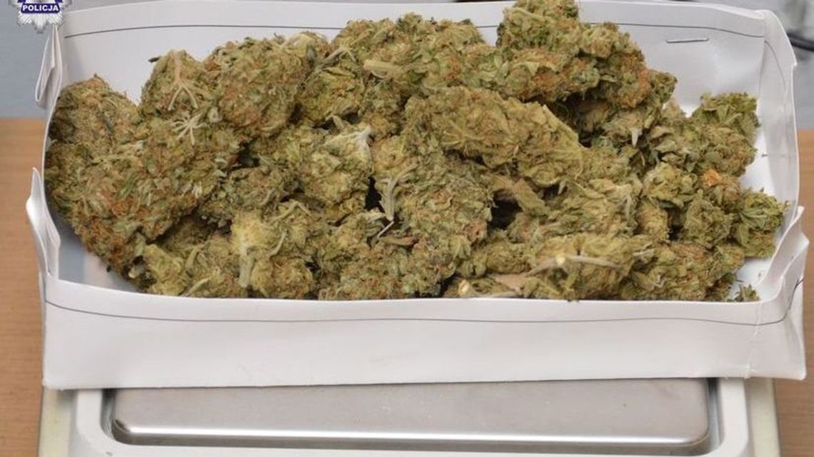 19-latek trzymał w domu nie tylko narkotyki 