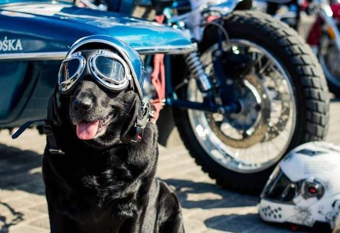 2. Piknik Motoryzacyjny na placu Zamkowym w Lublinie 2. Piknik Motoryzacyjny na placu Zamkowym w Lublinie