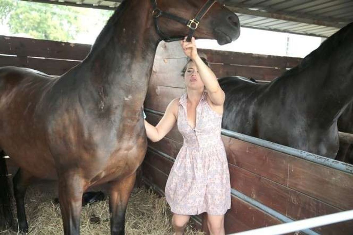 200 hodowców, 400 firm, 30 wystawa rolnicza w Sitnie (zdjęcia)