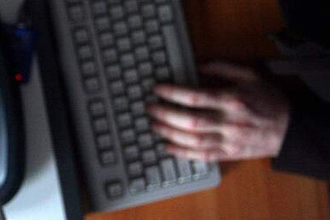 206 zarzutów oszustwa. Działali przez internet