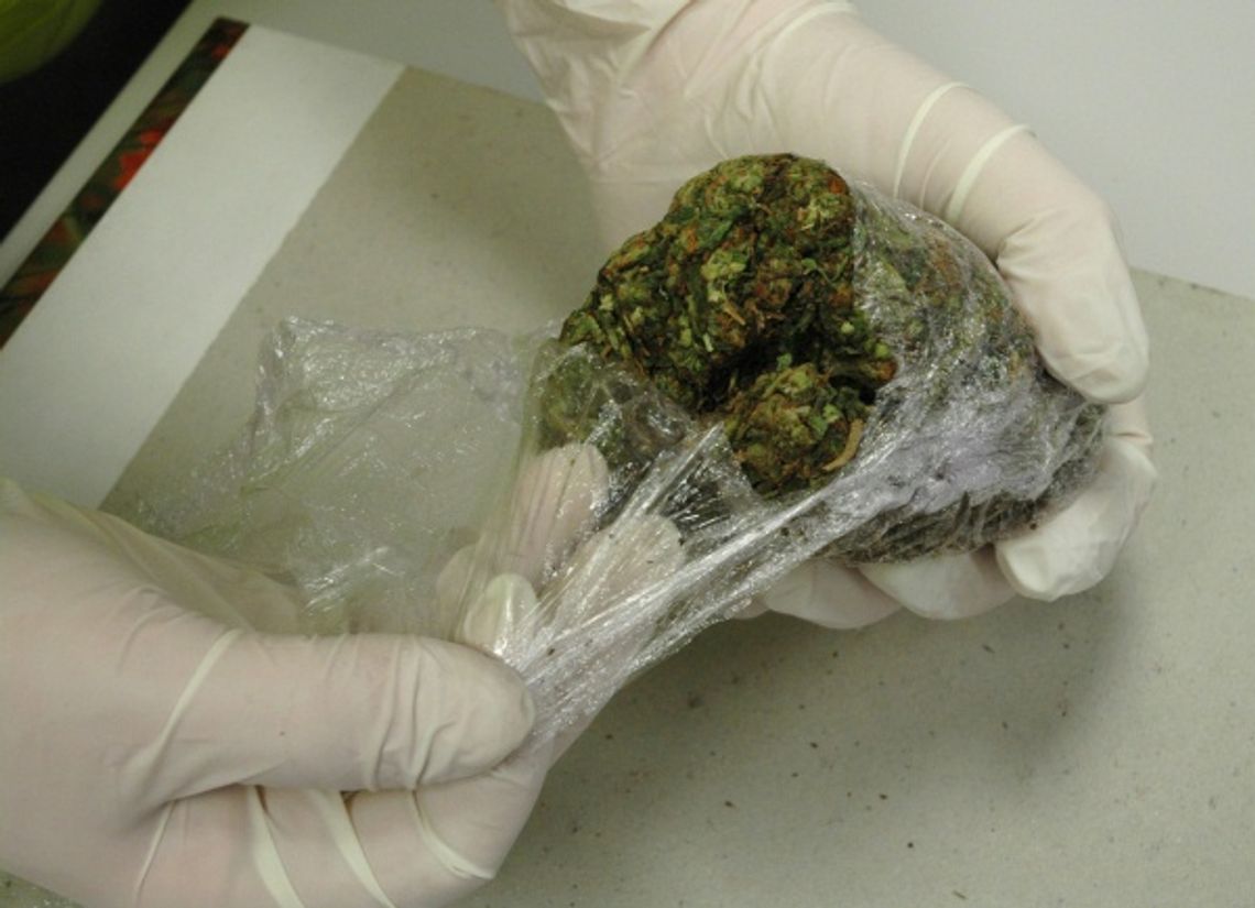 21-latkowie rozprowadzali marihuanę na dyskotece