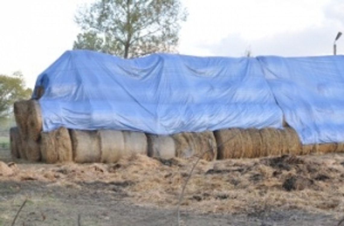 22-latek podpalił stertę słomy. Straty: 70 tys. złotych