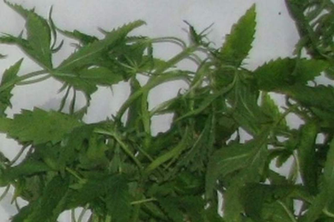 24-latek znaleziony nieprzytomny. Wpadł z marihuaną, bo zalał sąsiadów