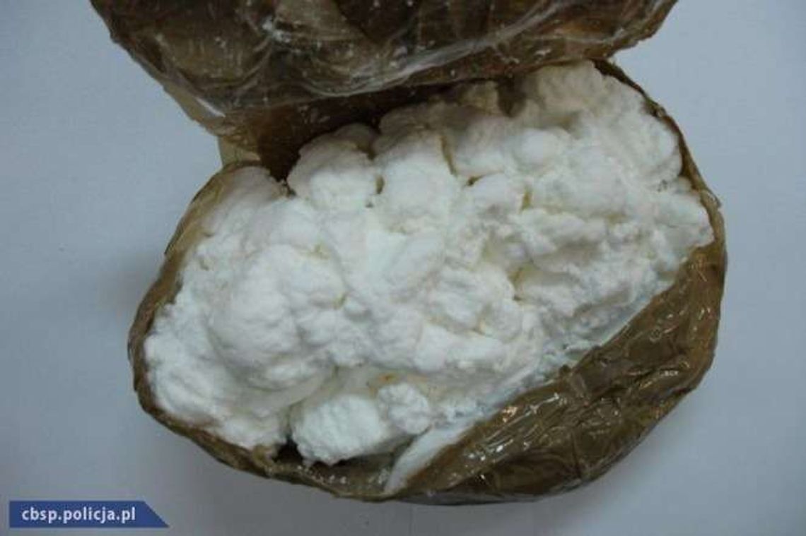 25-latek miał kilogram amfetaminy w lodówce 25-latek miał kilogram amfetaminy w lodówce