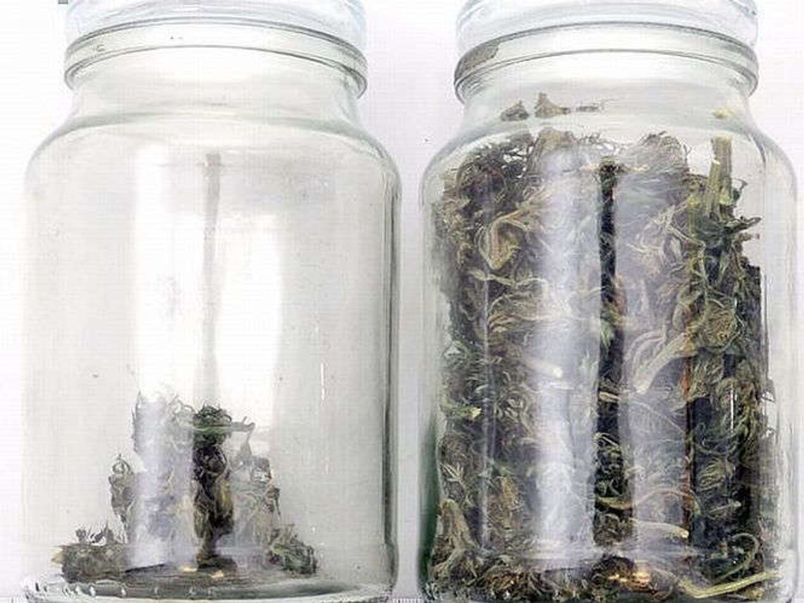 25-latkowie zatrzymani za posiadanie narkotyków