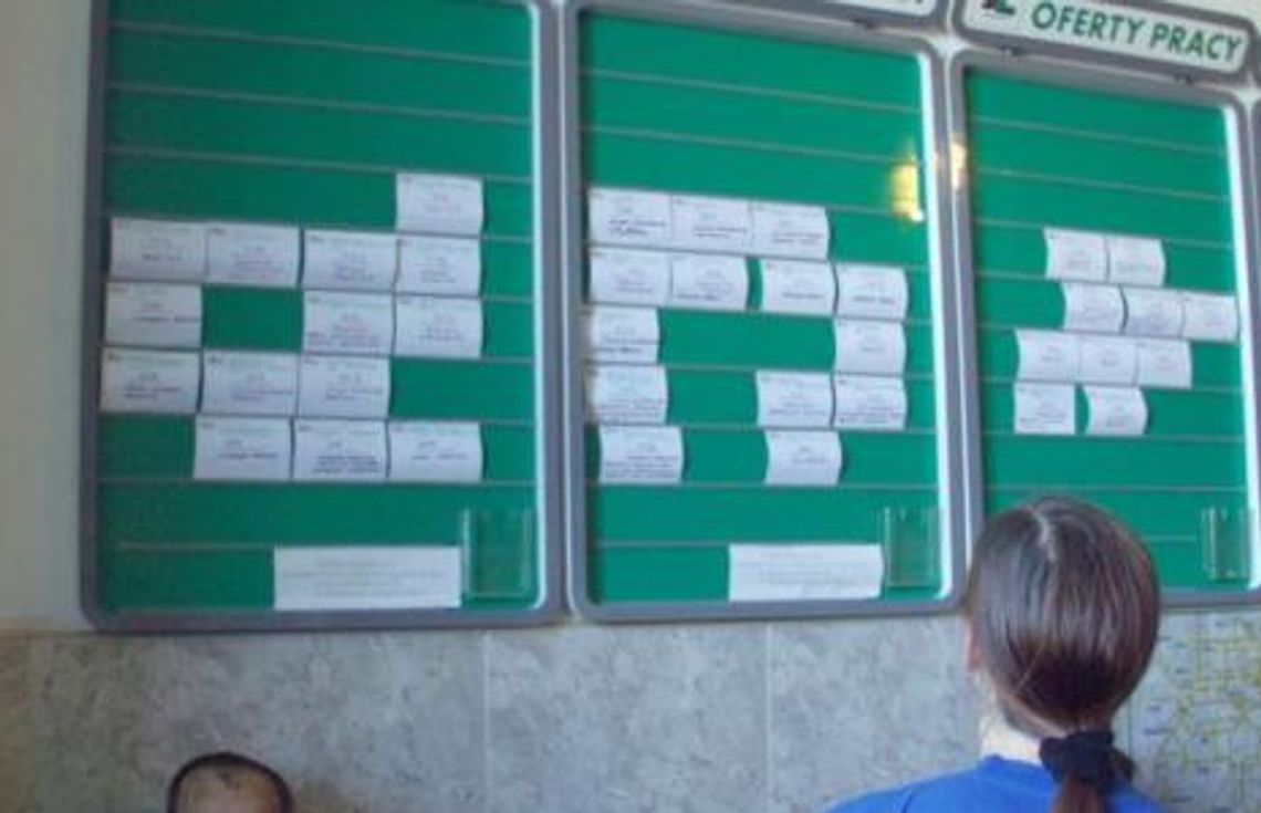 25 lipca kolejna giełda pracy w Chełmie