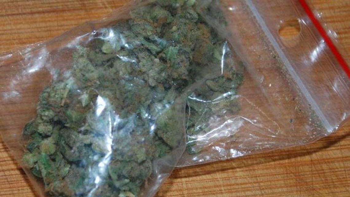 26-latek trafi przed sąd za gram marihuany, który schował w majtkach