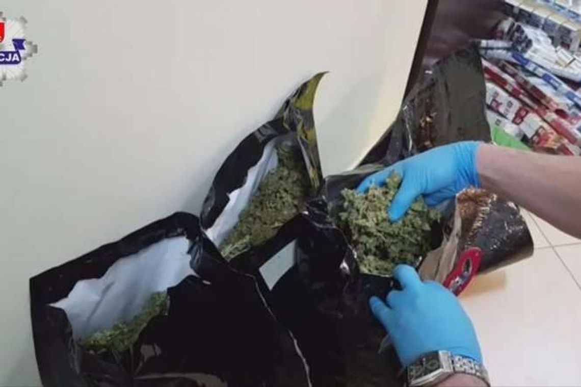 3,5 kg marihuany w mieszkaniu na Tatarach. Wpadło dwóch poszukiwanych 3,5 kg marihuany w mieszkaniu na Tatarach. Wpadło dwóch poszukiwanych