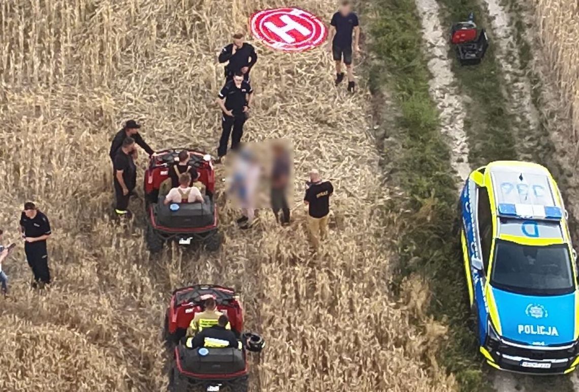3,5-letni chłopiec zaginął w lesie. Szczęśliwy finał akcji poszukiwawczej 3,5-letni chłopiec zaginął w lesie. Szczęśliwy finał akcji poszukiwawczej