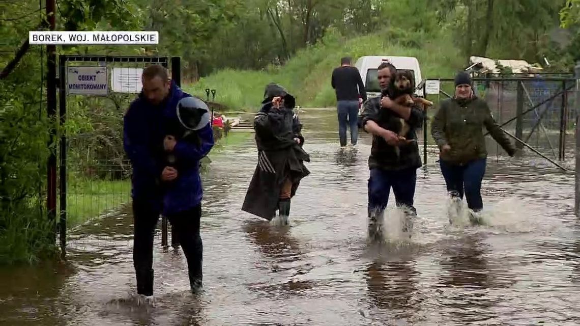3,5 tys. strażaków walczy z podtopieniami w Małopolsce. W Krakowie ogłoszono alarm przeciwpowodziowy [wideo]