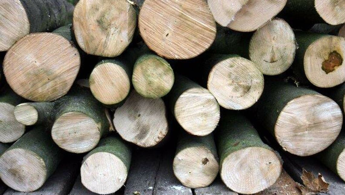 3,9 tys. zł na gaz, 1 tys. zł na drewno. Minister podała stawki dopłat