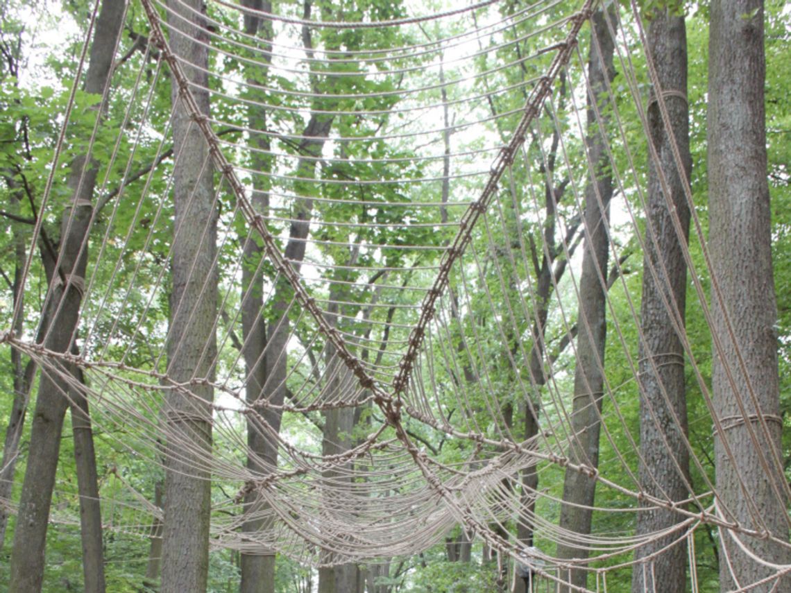 3. Land Art Festiwal w Zwierzyńcu 3. Land Art Festiwal w Zwierzyńcu