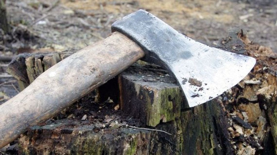 3-latek bawił się siekierą, nie skończyło się to dobrze. Wujkowi grozi więzienie