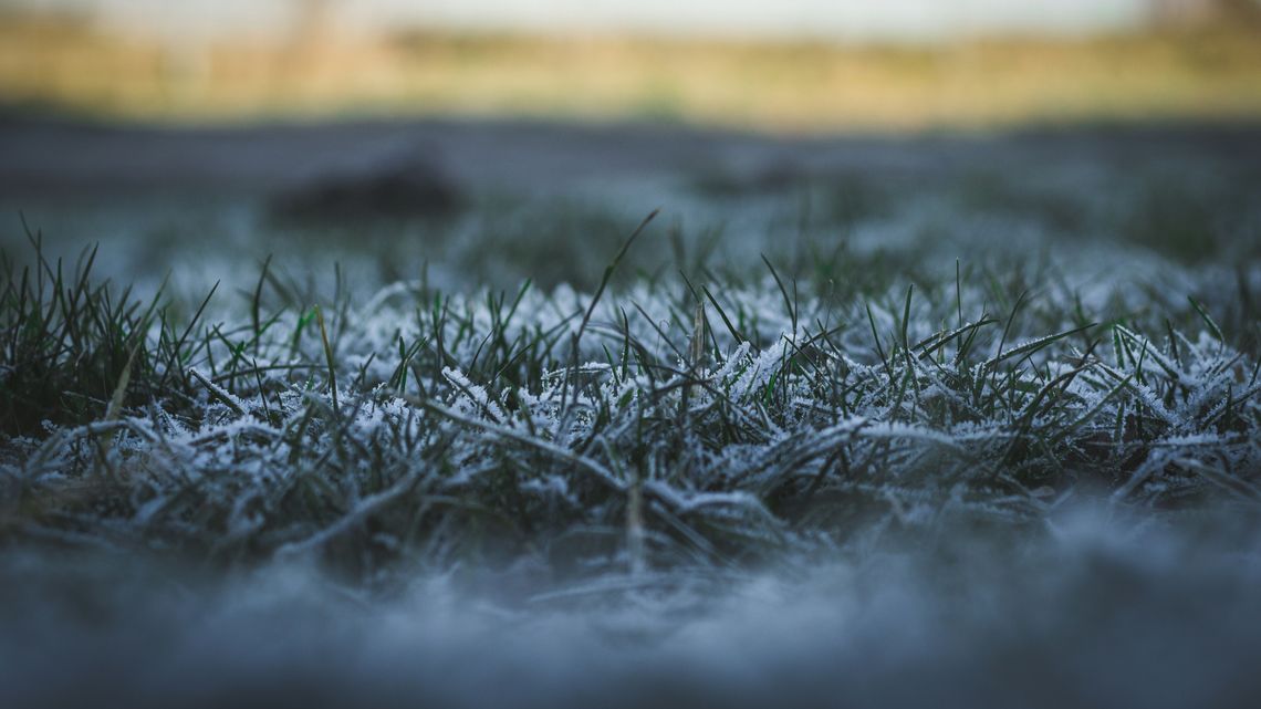- 3 przy gruncie. Ostrzeżenie dla 10 powiatów!