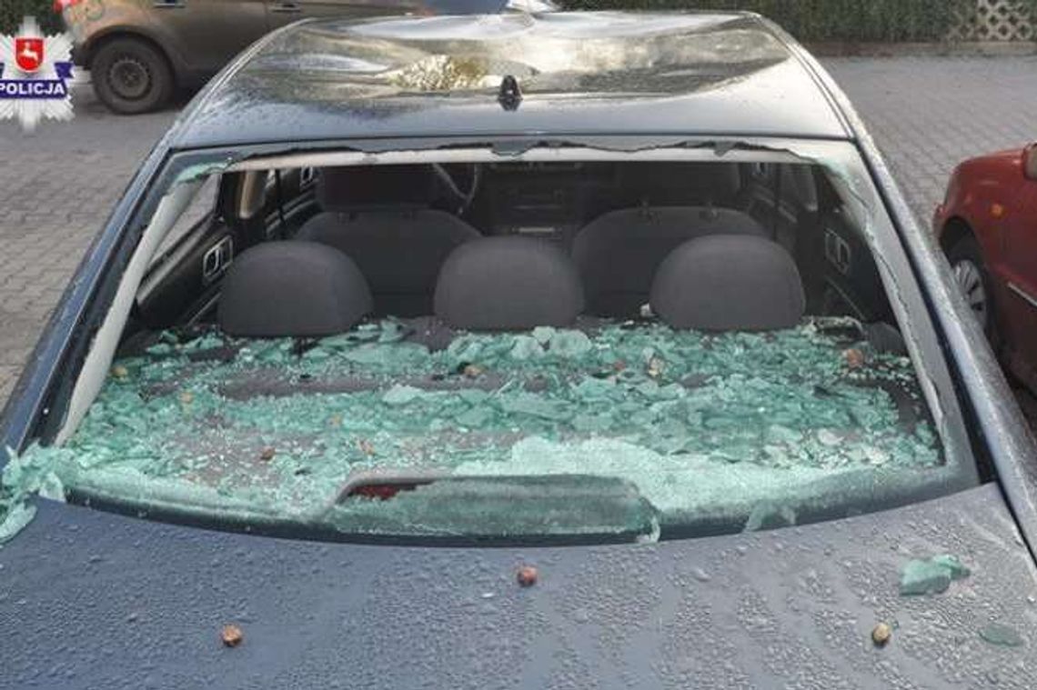 30-latek skakał po samochodach w Lublinie. Wybijał szyby, gniótł karoserię [zdjęcia]
