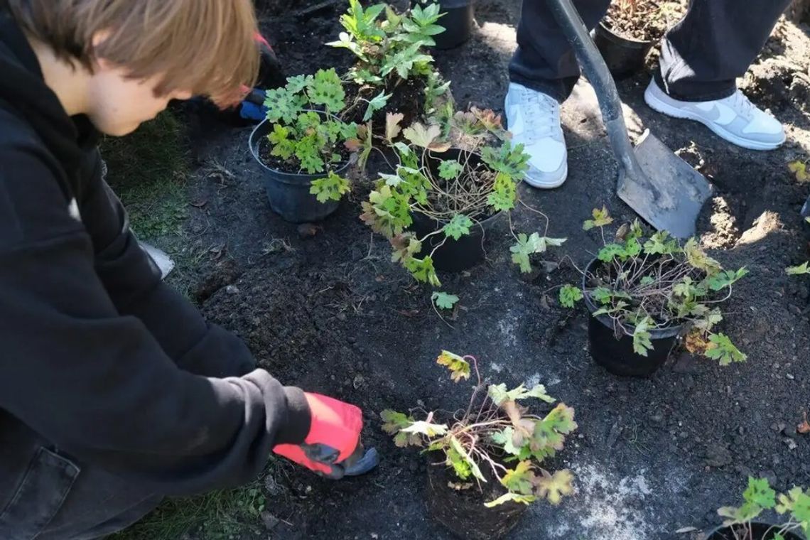 30 pomysłów na deszczówkę. Zielony Budżet wchodzi w fazę ocen