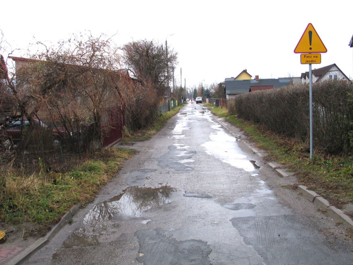 300 metrów schetynówki w Łęcznej