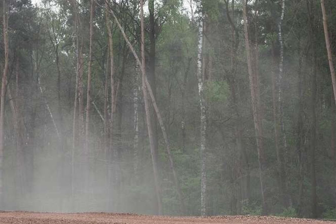 32-latek zgwałcony i bestialsko zabity. Sąd aresztował 3 osoby, przyznali się