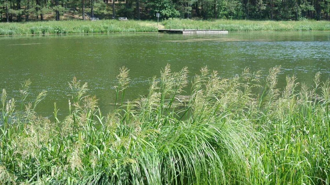 37-latka utonęła w Majdanie Sopockim 37-latka utonęła w Majdanie Sopockim