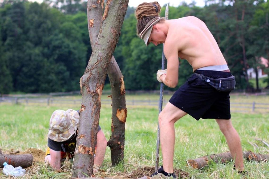 4. Landart Festiwal: Drzewa inne niż wszystkie 4. Landart Festiwal: Drzewa inne niż wszystkie