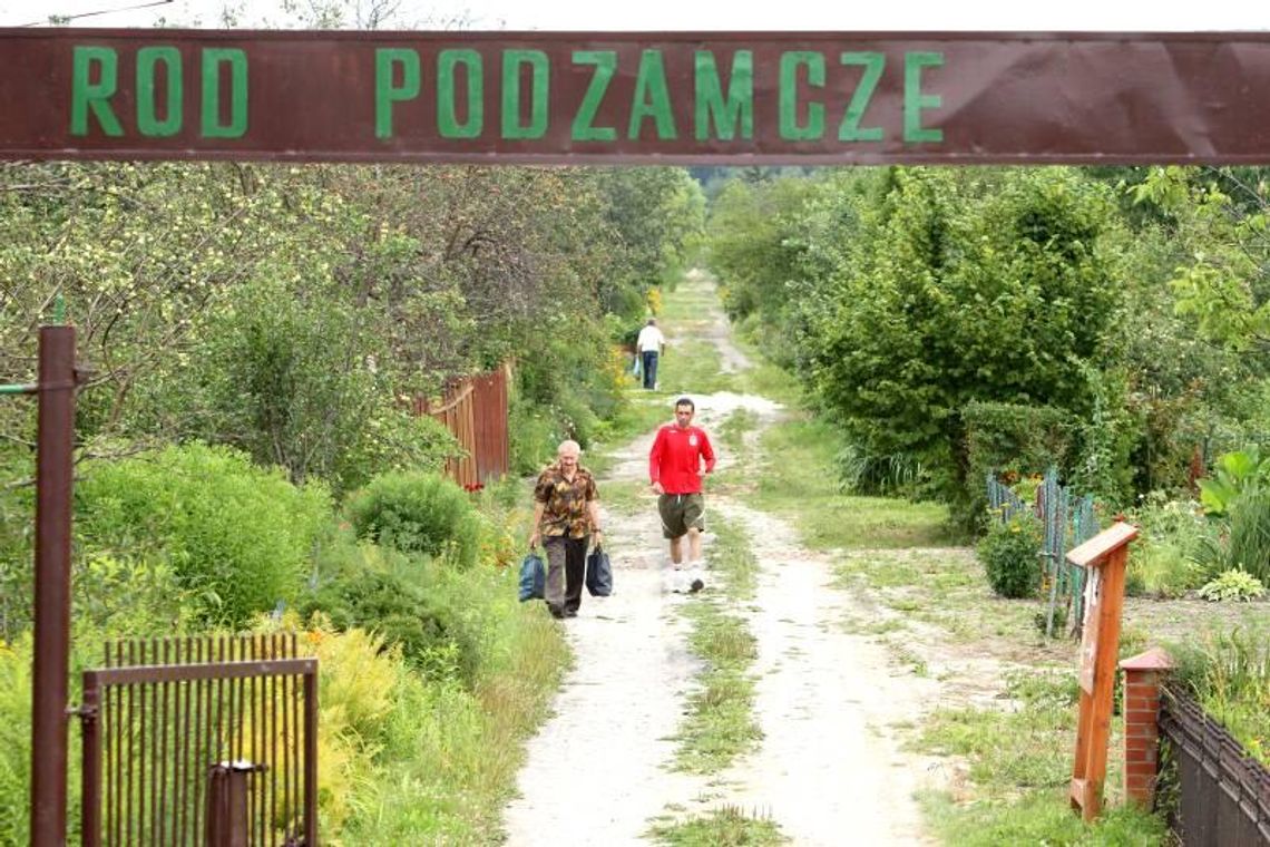 400 hektarów łakomego kąska. Czy działkowcy mogą spać spokojnie?
