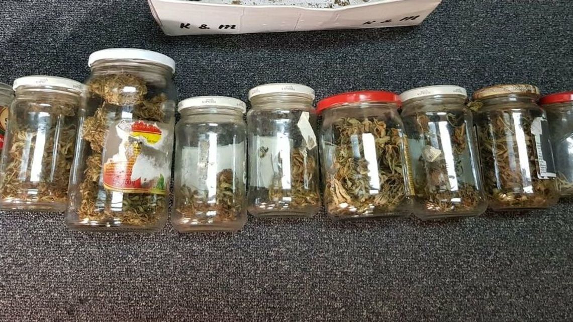 41-latek i jego "przetwory". Mężczyźnie grozi nawet 8 lat więzienia 41-latek i jego "przetwory". Mężczyźnie grozi nawet 8 lat więzienia