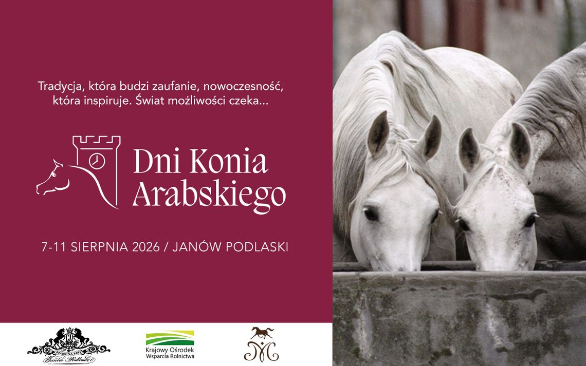 41 wyjątkowych koni, dwie prestiżowe aukcje i międzynarodowi goście. Zbliżają się Dni Konia Arabskiego