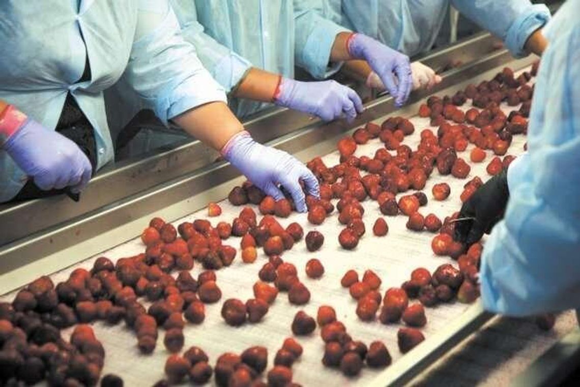 "4660 bezrobotnych, ale chętnych do pracy nie ma". Tę lukę wypełniają Ukraińcy