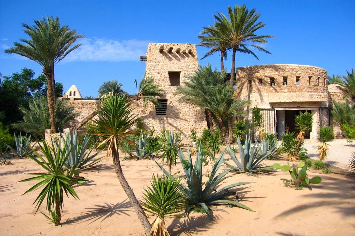 budynek wśród palm na wyspie Djerba