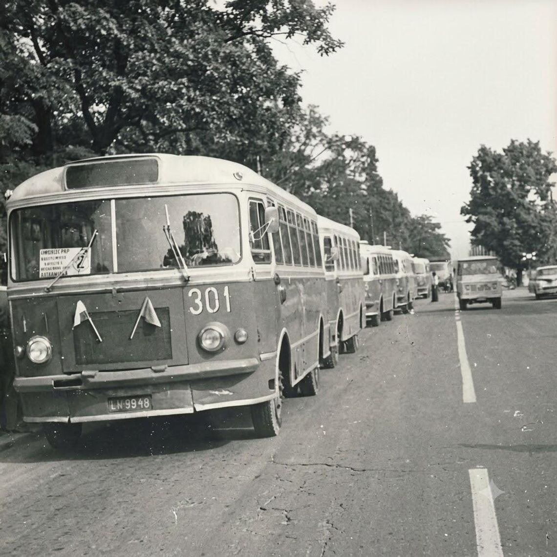 50 lat komunikacji miejskiej w Kraśniku. Zabytkowe autobusy, przejazdy dla mieszkańców i rodzinny piknik