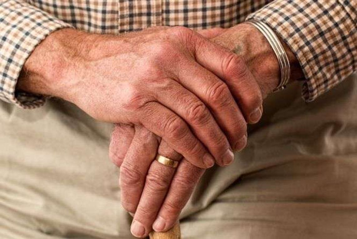 50+ plus komputer. Zapisy na jesienne zajęcia 50+ plus komputer. Zapisy na jesienne zajęcia