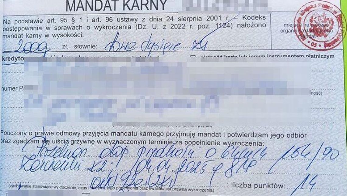 52 wiosny na karku i zero rozsądku 52 wiosny na karku i zero rozsądku