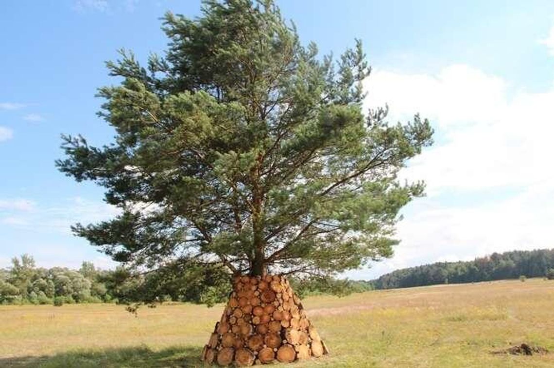 6. Landart Festiwal. "Te instalacje pozwalają na nowo spojrzeć na ten krajobraz" (zdjęcia)