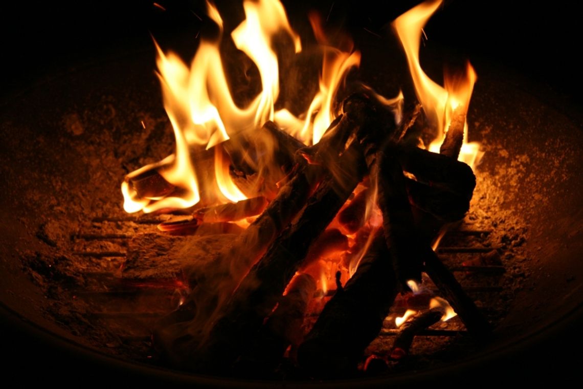 61-latek wrzucił psa do ogniska