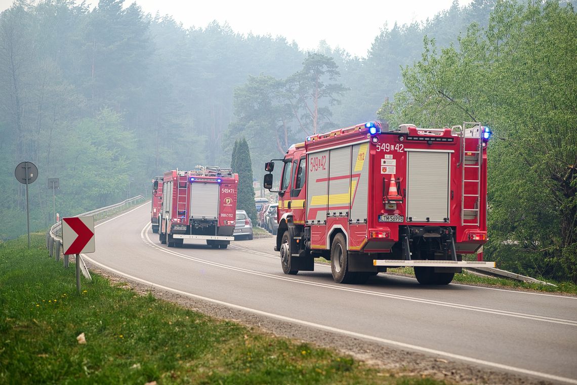 Strażacy nadal dogaszają pożar w Puszczy Solskiej. „Cała reszta puszczy nadal jest sucha”